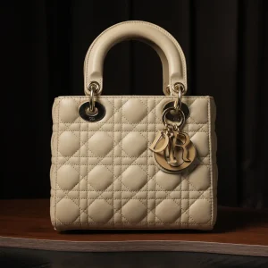 Dior lady dior